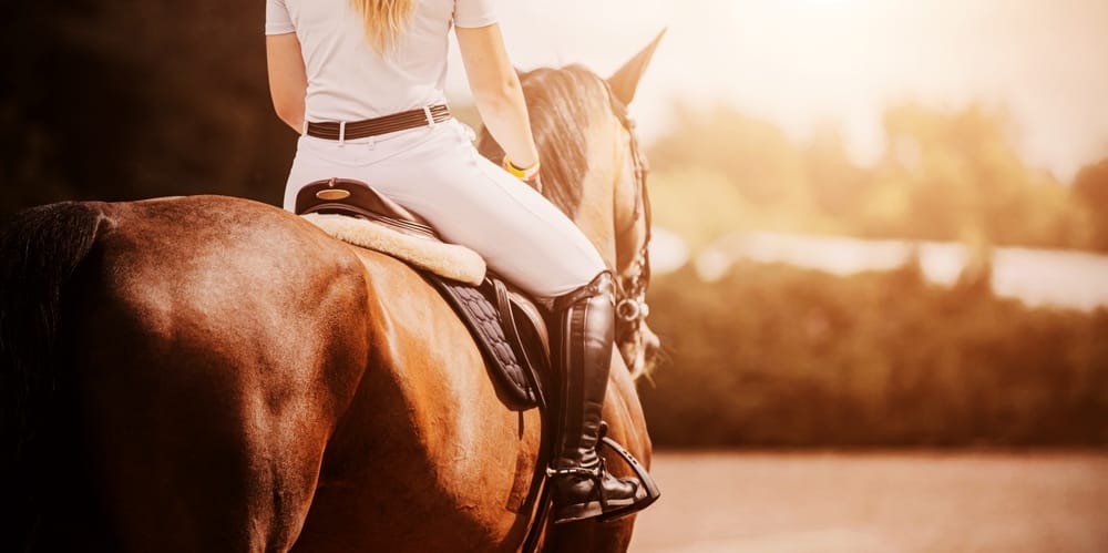 From the Archives: Body Image in Equestrian Sports