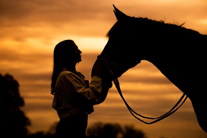 Silhouette of a young woman looking directly at a horse with it's ears forward, looking back at her, at sunset